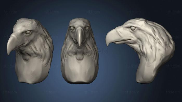 3D model Phillippine Eagle (STL)