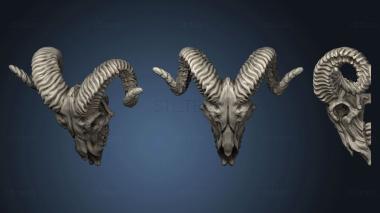 3D model Ram Skull (STL)