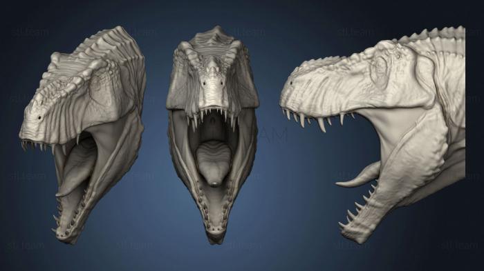 3D модель Тираннозавр 1 Голова Для Стены (STL)