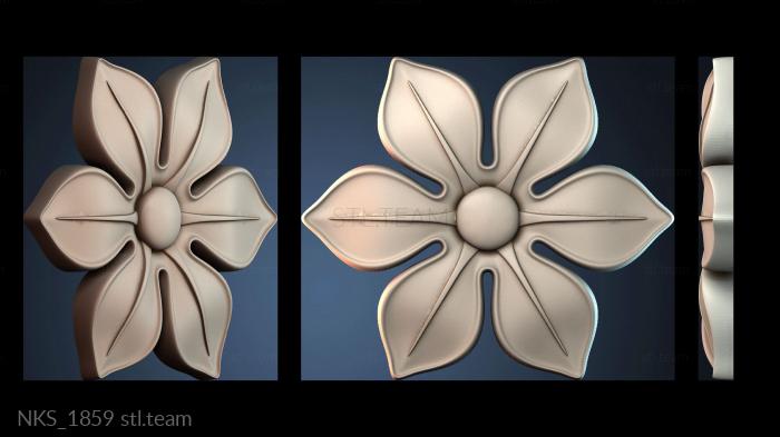 Накладки симметричные NKS_1859