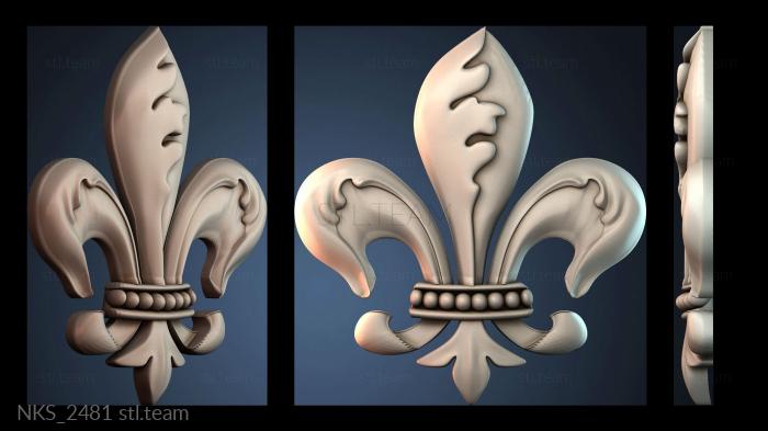 Накладки симметричные NKS_2481