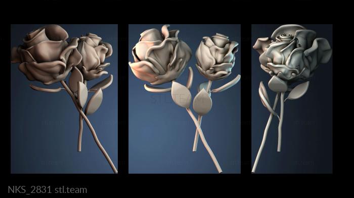 Накладки симметричные NKS_2831