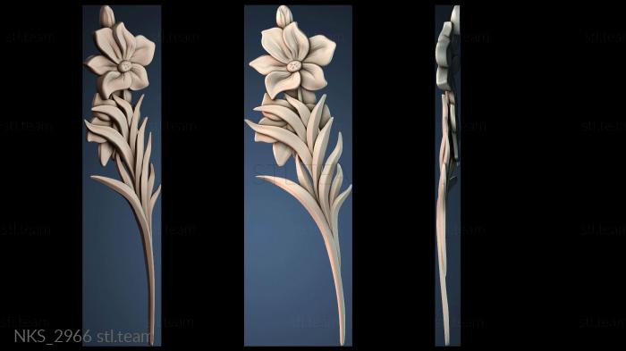 Накладки симметричные NKS_2966