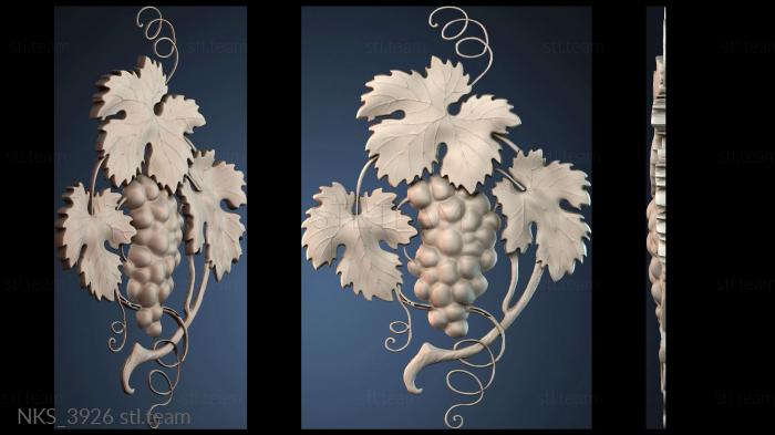 Накладки симметричные NKS_3926