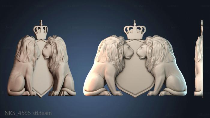 Накладки симметричные NKS_4565