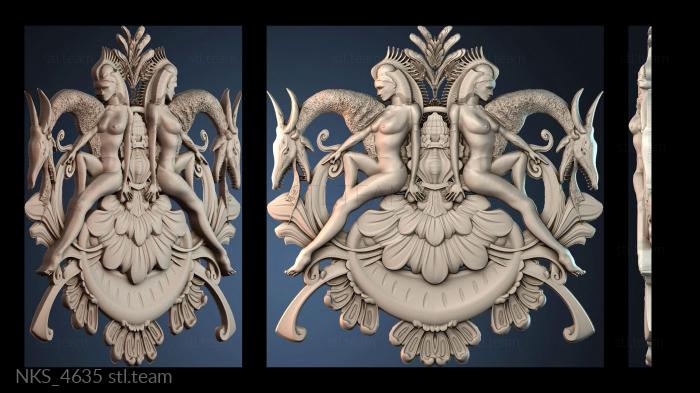 Накладки симметричные NKS_4635