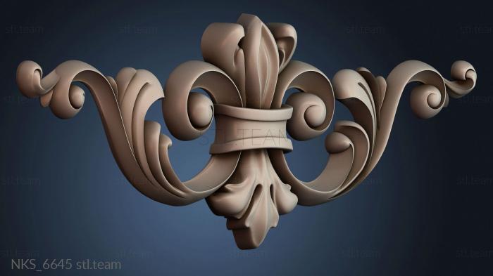 Накладки симметричные NKS_6645