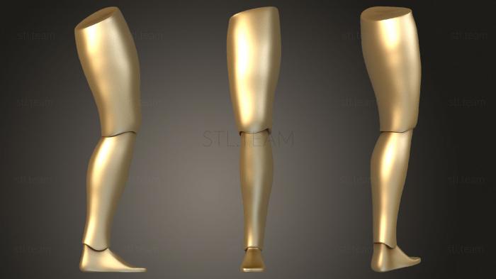 3D модель Деревянная нога (STL)