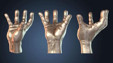 3D модель NESTANDART_0382 (STL)