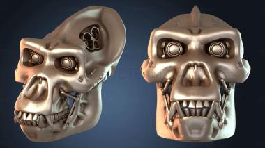 3D model Battle Gorilla Skull (STL)