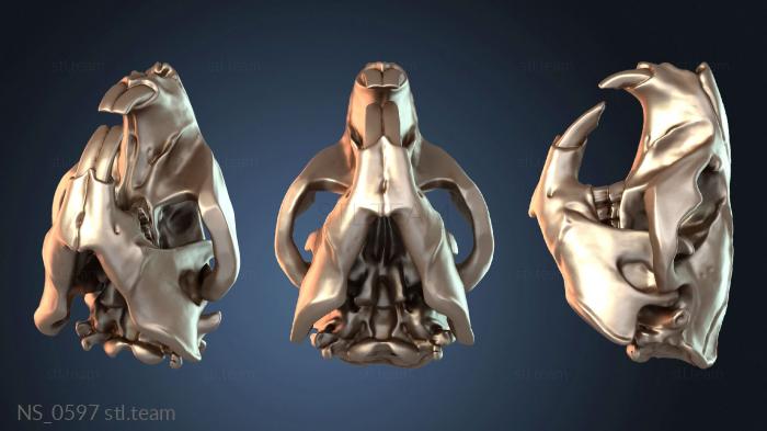 Нестандарт Beaver Skull