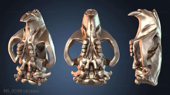 Нестандарт Beaver Skull Daring