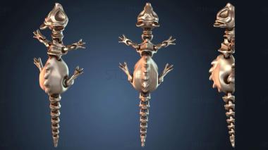 3D model Bone Rat (STL)