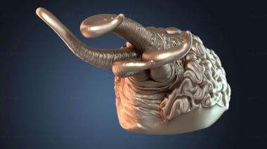 3D модель Сборщик мозгов (STL)