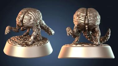 3D модель Мозги и щупальца Bny Brain Y (STL)