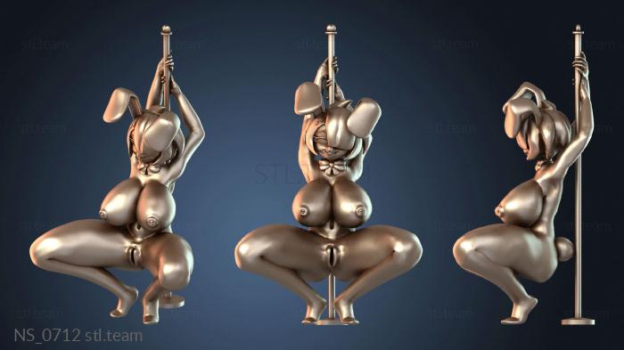 Нестандарт NS_0712