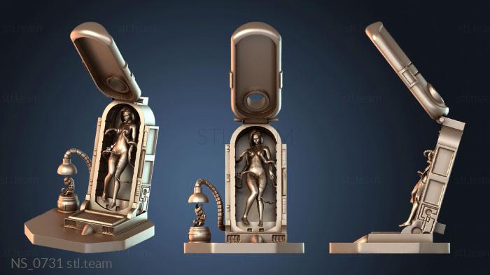 Нестандарт NS_0731