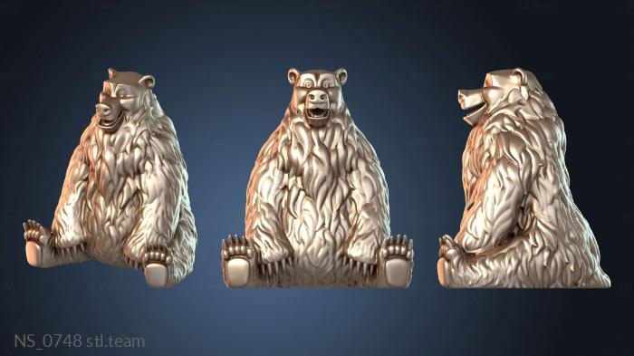 Нестандарт NS_0748