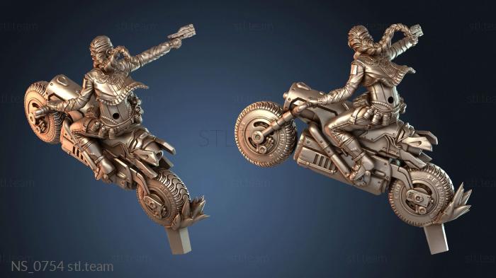 Нестандарт NS_0754