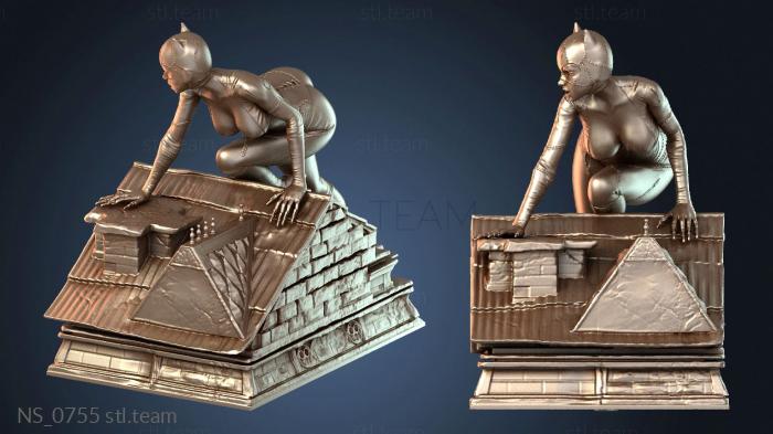 Нестандарт NS_0755