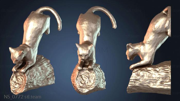 Нестандарт NS_0772