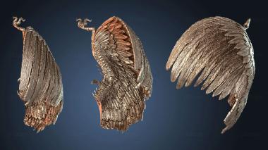 3D model Condors Conjuration Wing (STL)