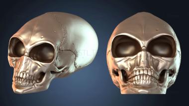 3D модель Хрустальный Череп (STL)