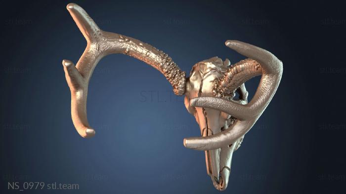 Нестандарт Deer Skulls