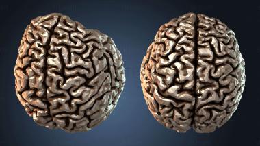 3D модель NESTANDART_1038 (STL)