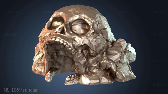 Нестандарт Dragonlock Ultimate FDG Skull Entrance