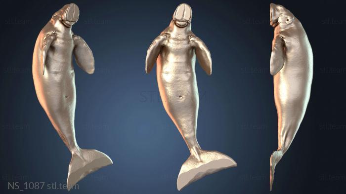 Нестандарт Dugong Eating