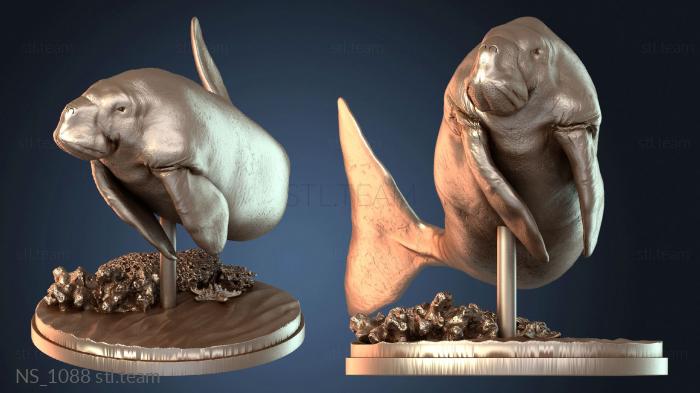 Нестандарт Dugong Swim