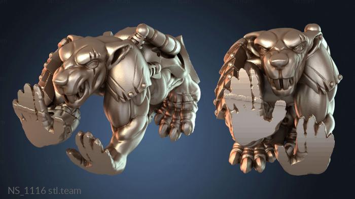 Нестандарт NS_1116