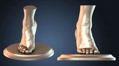 3D модель NESTANDART_1244 (STL)