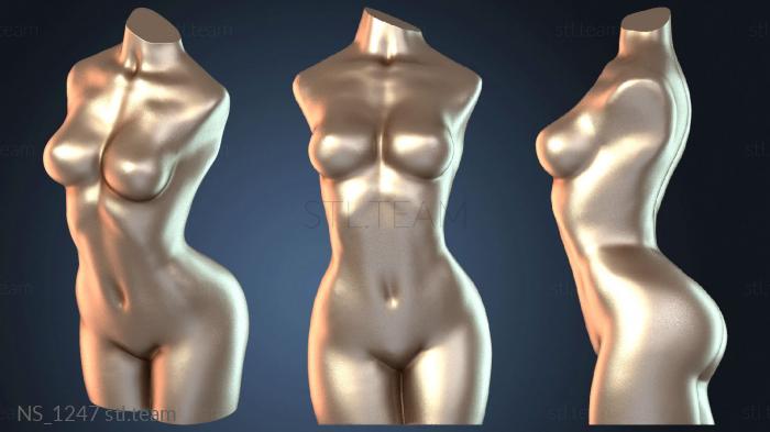 Нестандарт Female Toso