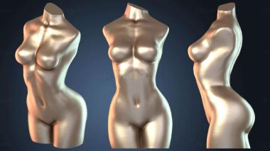 3D модель NESTANDART_1247 (STL)