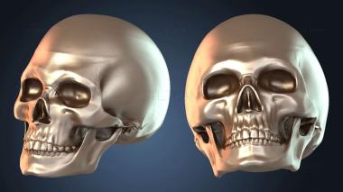 3D модель NESTANDART_1366 (STL)