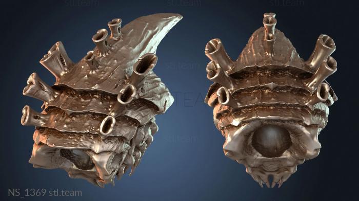 Нестандарт NS_1369