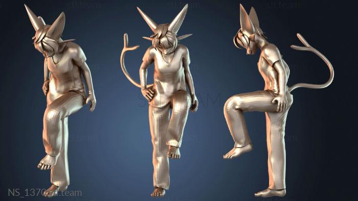 Нестандарт NS_1370