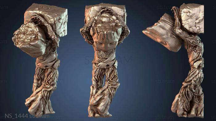 Нестандарт Groot Sonador Sonhador