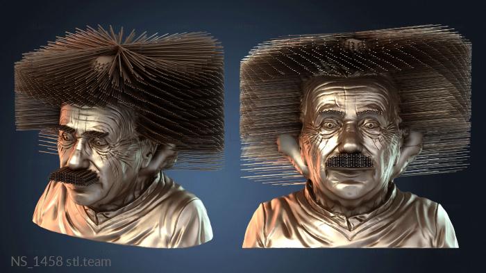 Нестандарт Hairy Einstien