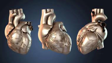 3D model Heart glowing (STL)