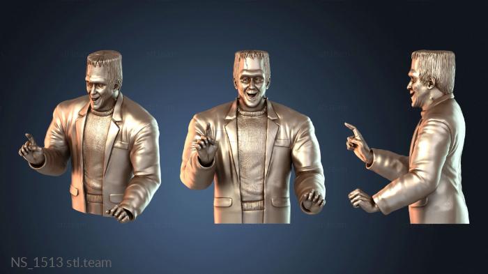 Нестандарт NS_1513