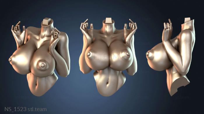 Нестандарт NS_1523