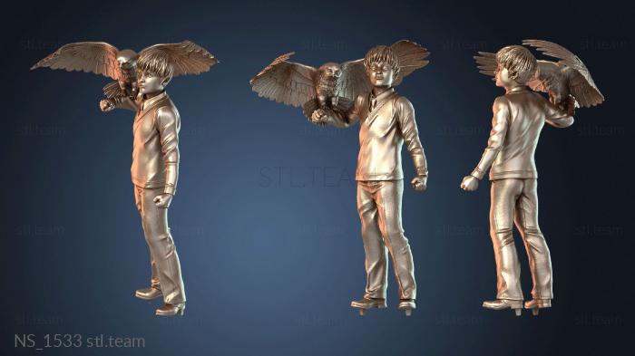 Нестандарт NS_1533