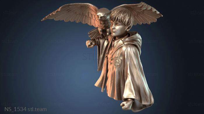 Нестандарт NS_1534