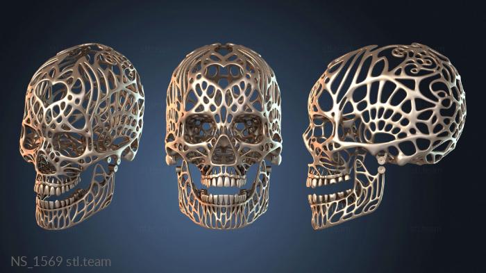 Нестандарт Human Skull alternate