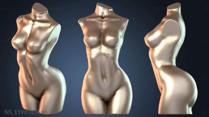 Нестандарт NS_1598