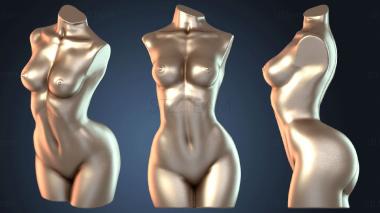 3D модель NESTANDART_1598 (STL)