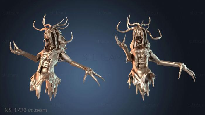 Нестандарт Kyntela Gwyn Ned